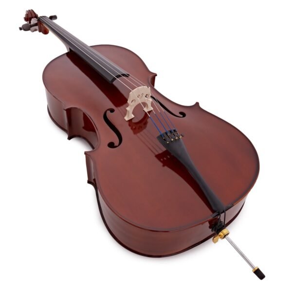 Primavera 100 1/16 Cello Outfit - Image 6