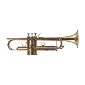 jp251sw