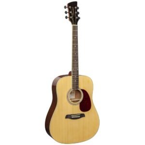 Acoustic Guitars