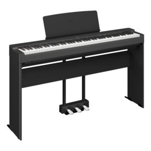 Piano & Keyboards