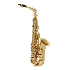 elkhart 100ts tenor saxophone