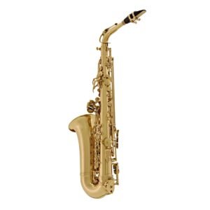 elkhart 100ts tenor saxophone