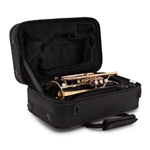 elkhart 100cr cornet