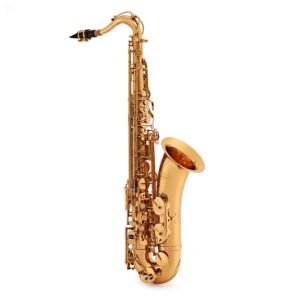 elkhart 100ts tenor saxophone