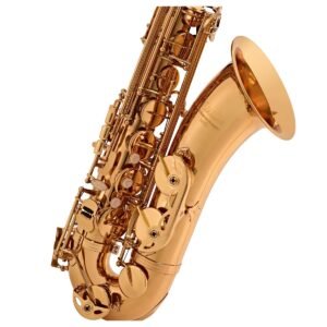 elkhart 100ts tenor saxophone