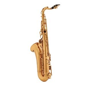 elkhart 100ts tenor saxophone