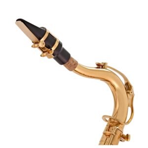 elkhart 100ts tenor saxophone