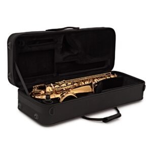 elkhart 100ts tenor saxophone
