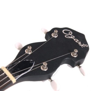 ozark 5 string banjo