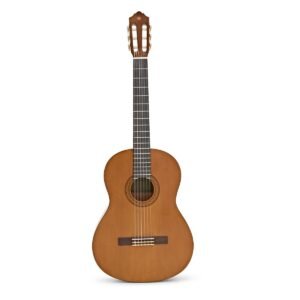 Classical & Nylon Guitars
