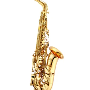 elkhart 100ts tenor saxophone