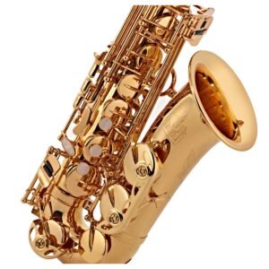 trevor james 'the horn' alto saxophone