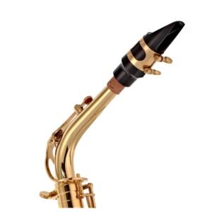 trevor james 'the horn' alto saxophone